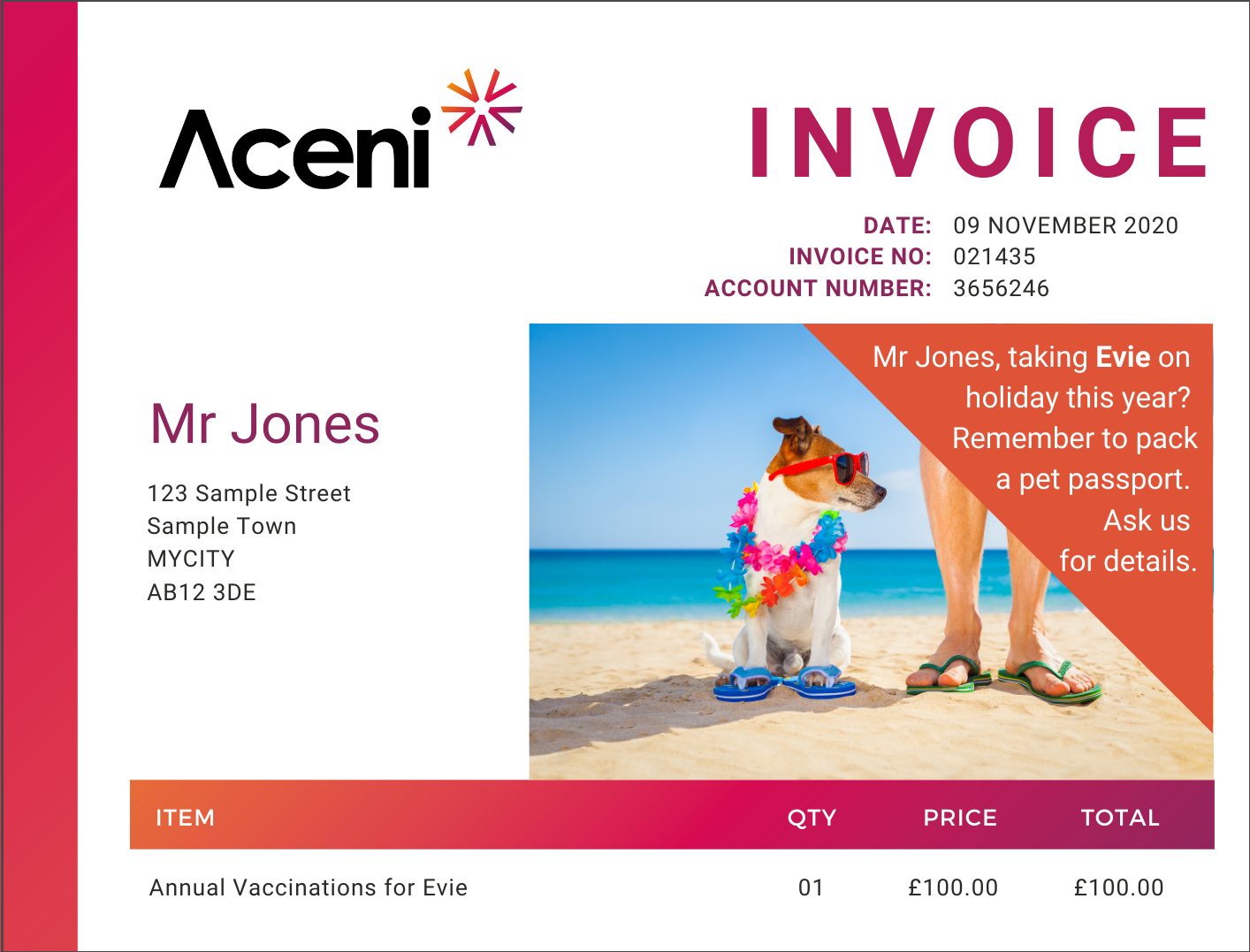 Aceni Invoice Personalised Sample 1220